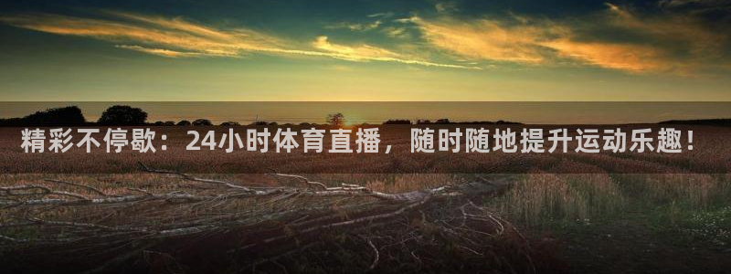 精彩不停歇：24小时体育直播，随时随地提升运动乐趣！