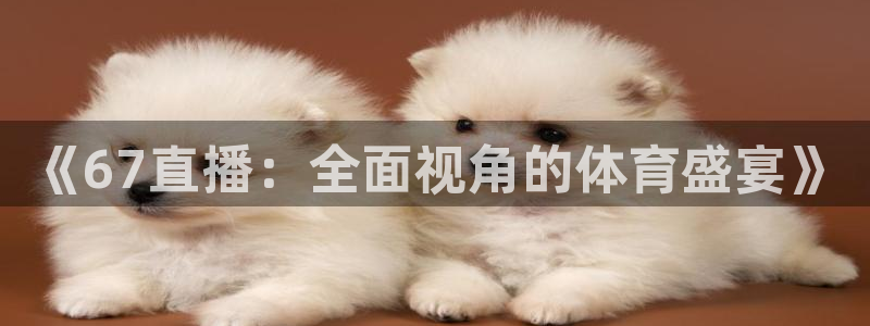 《67直播：全面视角的体育盛宴》