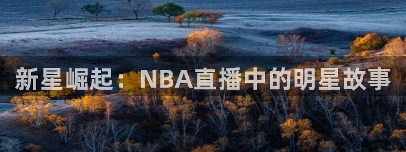 新星崛起：NBA直播中的明星故事