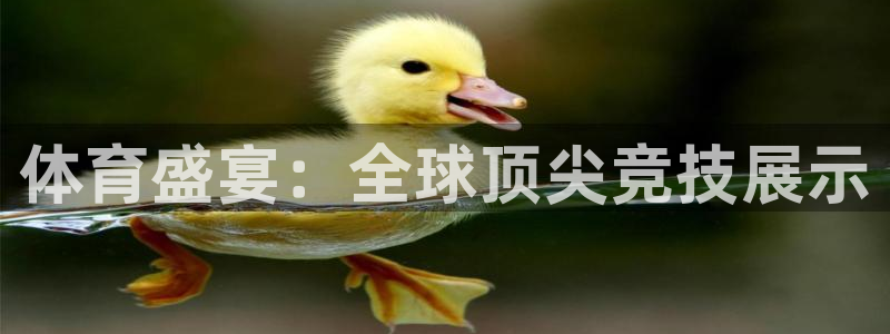 体育盛宴：全球顶尖竞技展示