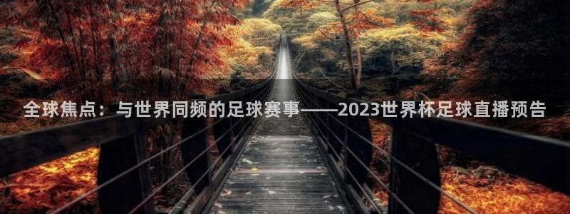 全球焦点：与世界同频的足球赛事——2023世界杯足球直播预告