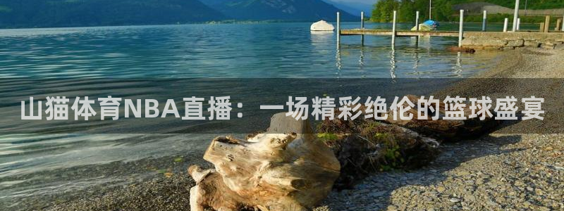 山猫体育NBA直播：一场精彩绝伦的篮球盛宴