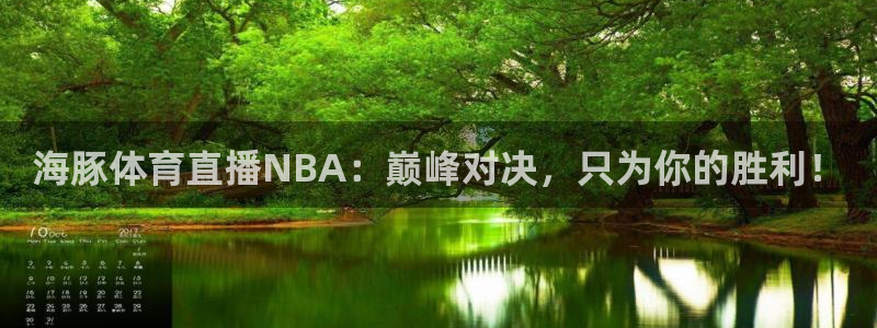 海豚体育直播NBA：巅峰对决，只为你的胜利！