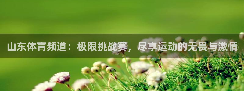 山东体育频道：极限挑战赛，尽享运动的无畏与激情