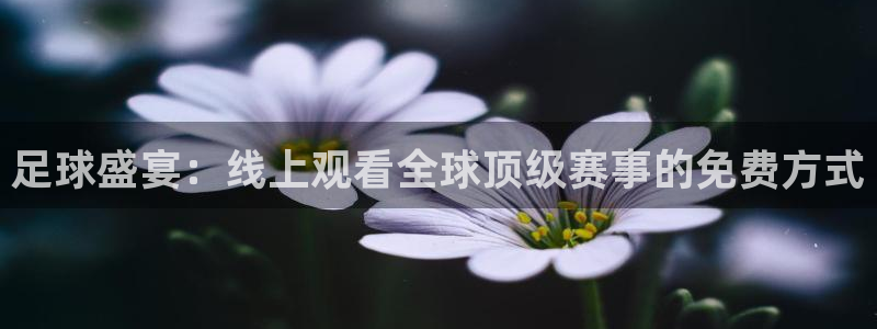 919足球直播