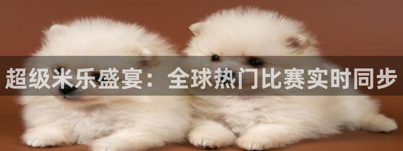 919看球：超级米乐盛宴：全球热门比赛实时同步