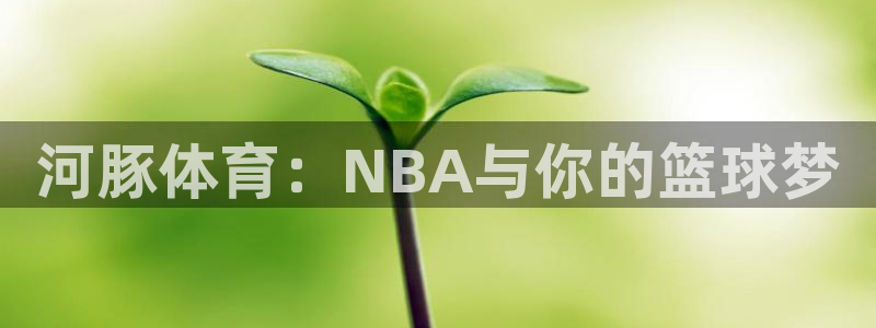 直播919：河豚体育：NBA与你的篮球梦
