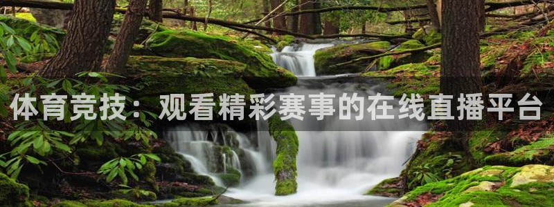919体育直播平台在线观看：体育竞技：观看精彩赛事的在线直播平台