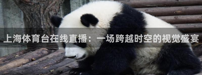 919直播看球：上海体育台在线直播：一场跨越时空的视觉盛宴